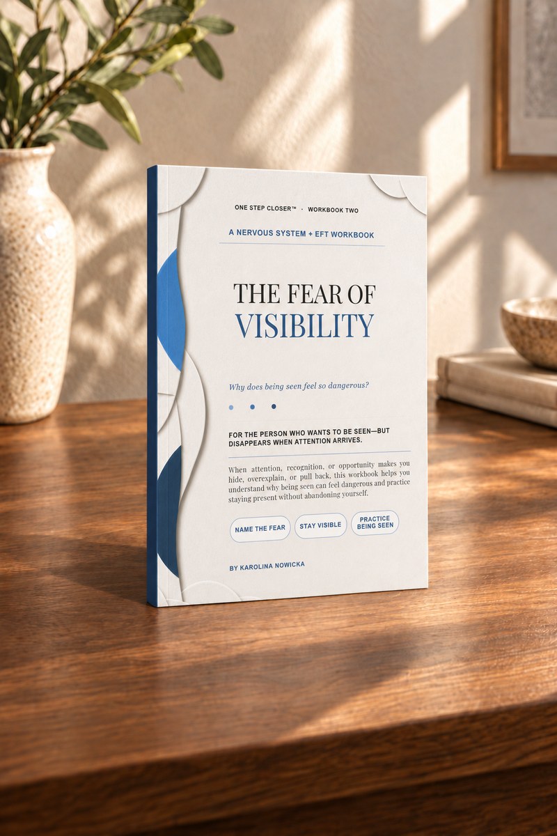 The Fear of Visibility cover